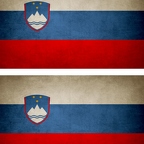 r9313 2x drapeau vintage Slovenie