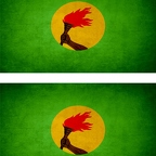 r9348 2x drapeau vintage Zaire