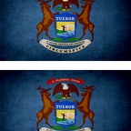 r9439 2x drapeau vintage michigan