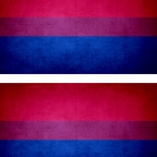 r9509 2x drapeau vintage bisexual