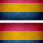 r9510 2x drapeau vintage pansexual