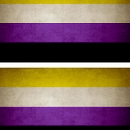 r9511 2x drapeau vintage nonbinary