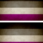 r9512 2x drapeau vintage asexual