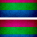 r9513 2x drapeau vintage polysexual