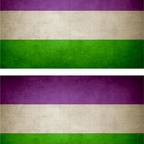 r9514 2x drapeau vintage genderqueer