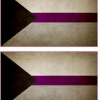 r9515 2x drapeau vintage demisexual