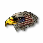 r7552 aigle tete usa flag