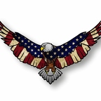r7553 aigle us old flag A4