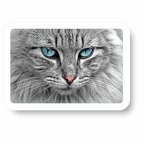 r7538 cat eye