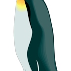 r8109 pingouin