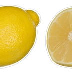 r8095 double citron