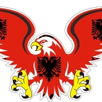 r8098 Albania eagle