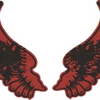 r8112 2 ailes Albanie