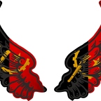 r8116 2 ailes Angola