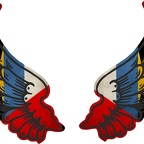 r8118 2 ailes Antigua BBDA