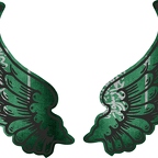 r8119 2 ailes Asaoudite