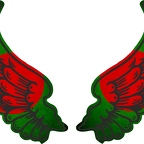 r8128 2 ailes Bangladesh