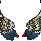 r8131 2 ailes Belize