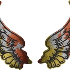 r8134 2 ailes Bhoutan