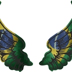 r8138 2 ailes Bresil