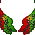 r8141 2 ailes Burkina faso