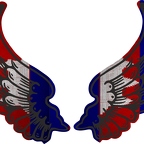 r8145 2 ailes Cambodge