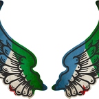 r8162 2 ailes Djibouti