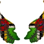 r8164 2 ailes Dominique