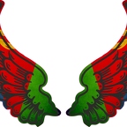 r8169 2 ailes Erythree