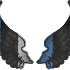 r8171 2 ailes Estonie