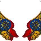 r8173 2 ailes Ethiopie