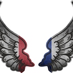 r8178 2 ailes France