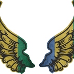 r8179 2 ailes Gabon