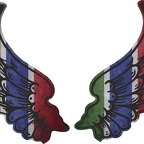 r8180 2 ailes Gambie