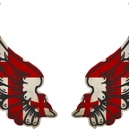 r8181 2 ailes Georgie