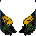 r8187 2 ailes Guadeloupe