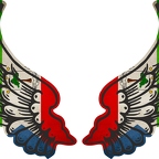 r8193 2 ailes Guinee equatoriale