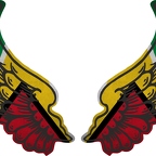 r8194 2 ailes Guyana