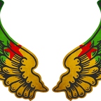 r8195 2 ailes Guyane fr