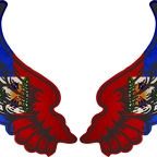 r8196 2 ailes Haïti