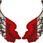 r8206 2 ailes Indonesie