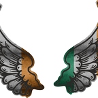 r8208 2 ailes Irlande