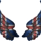 r8209 2 ailes Islande