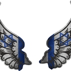 r8210 2 ailes Israël