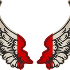 r8211 2 ailes Italie