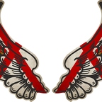 r8214 2 ailes Jersey