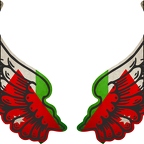 r8215 2 ailes Jordanie