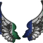 r8222 2 ailes Lesotho