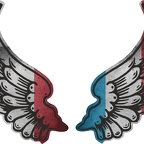 r8229 2 ailes Luxembourg