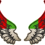 r8232 2 ailes Madagascar